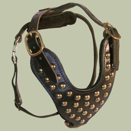 Studded leather dog harness