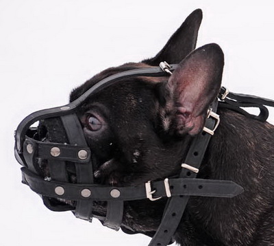 Hundemaulkorb fuer Franzoesische Bulldogge mit Filzpolsterung