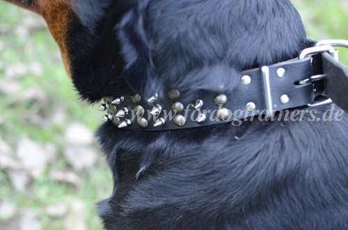 Rottweiler Hunde Halsband Nieten | Design Halsband mit Spikes