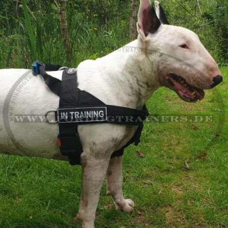 Allwetter-Hundegeschirr aus Nylon für Bullterrier