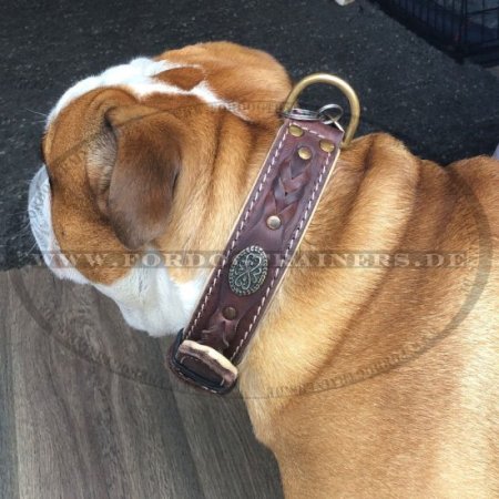 English Bulldog Nappa Padded Handmade Leather Dog Collar, Black