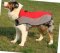 Hundekleidung Nylon Australischer Schäferhund❊