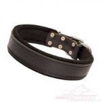 Bestseller Modernes Leder Hundehalsband mit Filz gefüttert, 40 mm