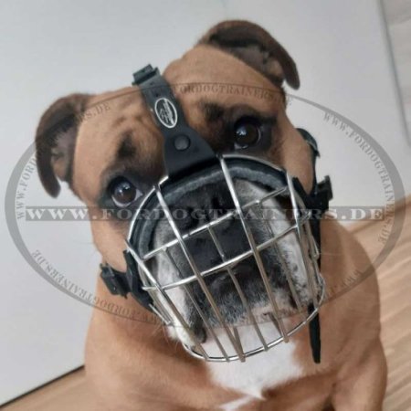 Wire Basket Dog Muzzle for Englisch Bulldog