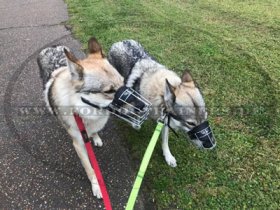 Bester M9 Drahtmaulkorb für Wolfshund