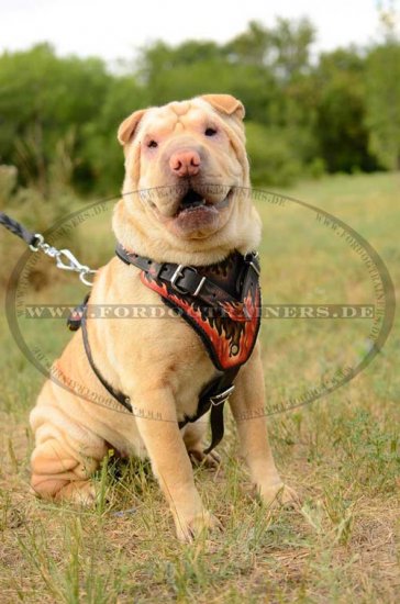 Hundegeschirr K9 Design | Sharpei Geschirr Exklusiv ✲