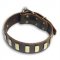 Gorgeous Wide Collar With Brass Plates for Doberman