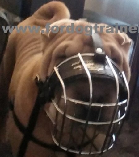 Original Shar Pei Wire Cage Muzzle buy | Wire Dog Muzzle