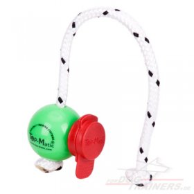 Fun Ball MINI mit MAXI Power-Clip von Top-Matic Trainingssystemen, grün
