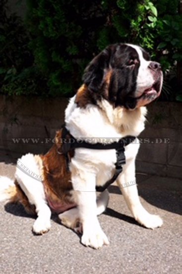 St.Bernard Nylon All Weather Harness