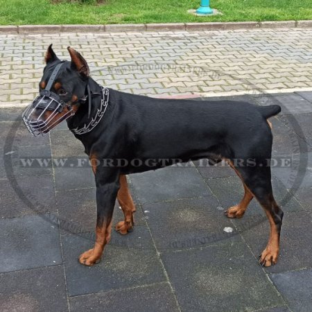 Bestseller Dobermann Maulkorb aus Draht, universeller Beisskorb