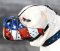 Bulldogge Geschlossener Leder Maulkorb "American Pride"