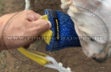 Dog Sport Jute Bite Tug 2 inch on 8 inch with Handle