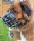 Wire Dog Muzzle for German Beardog