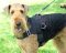 Bestseller Airedale Terrier Allwetter-Hundegeschirr aus Nylon