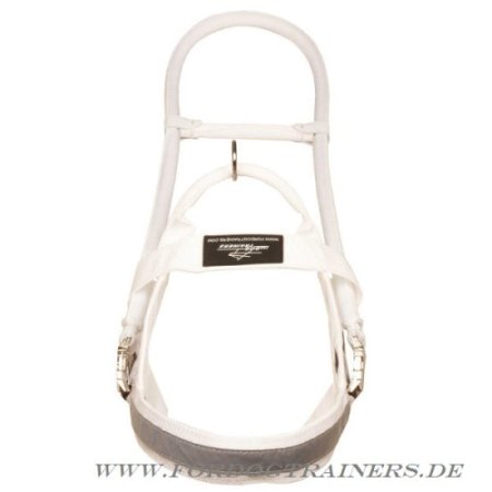 White Assistance Dog Harness of Nylon