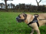 Bestseller Drahtmaulkorb für Boerboel