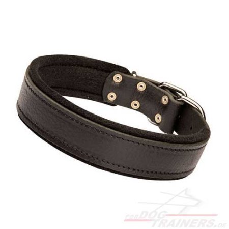 Bestseller Modernes Leder Hundehalsband mit Filz gefüttert, 40 mm