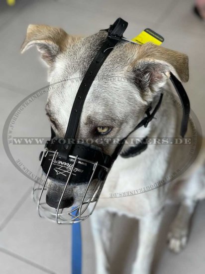 Comfortable Dog Muzzle of Wire for small-sized Dogs