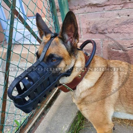 Hetz-Hundehalsband aus Leder mit Griff für Schäferhund