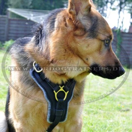 Bestseller Edles Hundegeschirr aus Leder für Deutschen Schäferhund