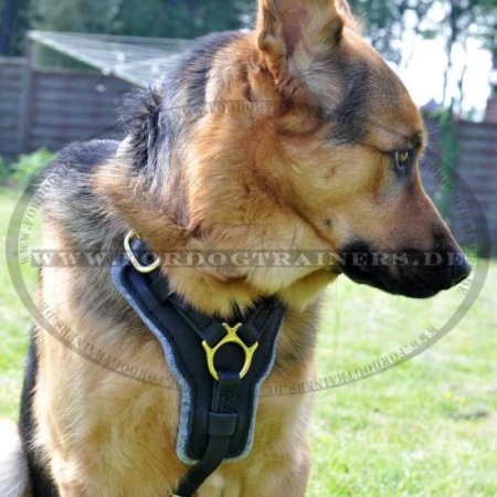 German Shepherd Luxury Handcrafted Padded Leather Harness