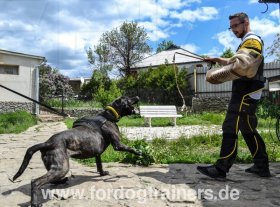 Bite Sleeve for Bandog Training, for Titan Dogs