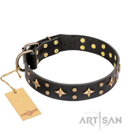 Hundehalsband Schwarz "A La Mode" FDT Artisan