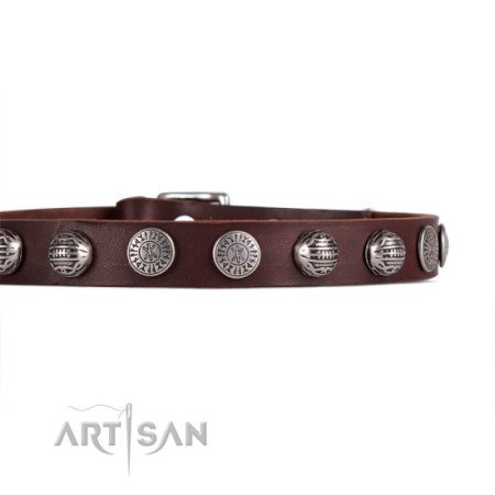 Luxus Lederhalsband 20 mm im Braun mit runden Metallbolzen