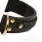 Comfortable Dog Collar Wide with Braids