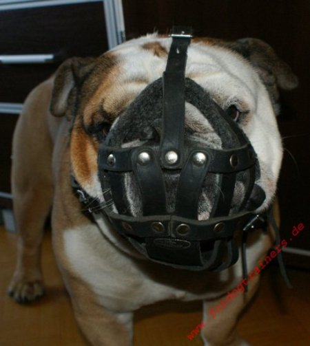 Leather Muzzle with Super Ventilation order