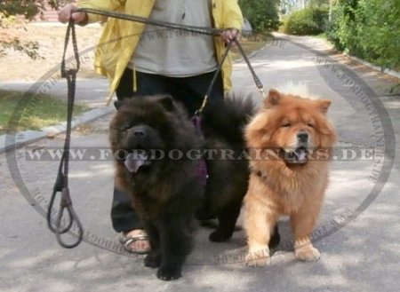 Bestseller Leine aus Leder Geflochten, perfekte Handarbeit für Hunde!