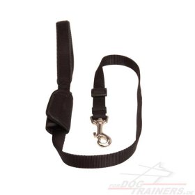 Safe&Sound Nylon Dog Leash