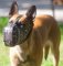 Dog Muzzle of Leather for Malinois with Barbed Wire Design