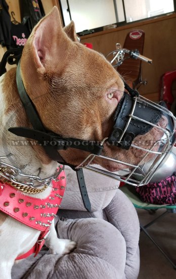 Wire Basket Dog Muzzle for Pitbull