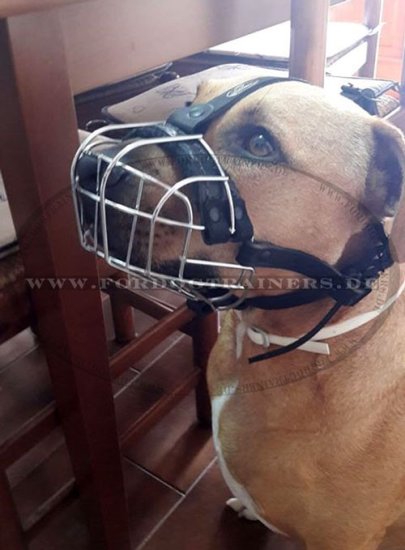 Wire Basket Dog Muzzle for Pitbull