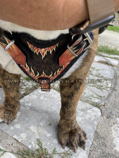 Designer Hundegeschirr Leder für Englische Bulldogge - Flamme!