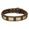 Gorgeous New Design Studded Collar with Brass Plates