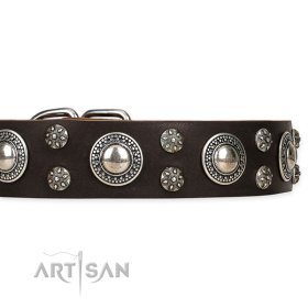 Handmade Studded Collar "Age of Beauty" FDT Artisan