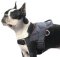 K9 Nylon Geschirr für Boston Terrier