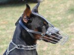 Bestseller Dobermann Maulkorb aus Draht, universeller Beisskorb