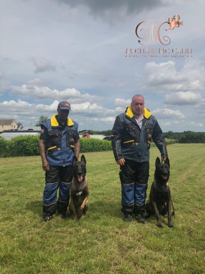 Schutzanzug für Hundetraining, Hundesport und Wettbewerbe