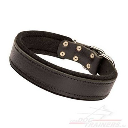 Modern Padded Collar with Felt, 40 mm