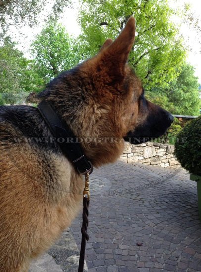 Deutscher Schäferhund gepolstertes Hundehalsband vom Leder