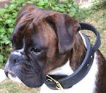 Bestseller Boxer Hetz-Hundehalsband aus Leder mit Griff