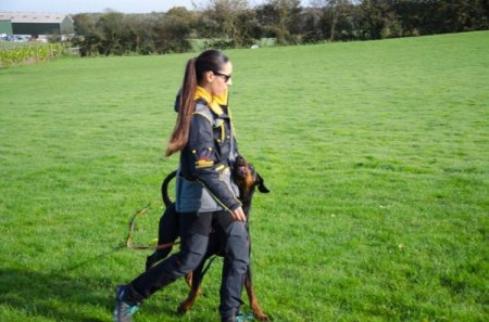 Schutzanzug für Hundetraining, Hundesport und Wettbewerbe