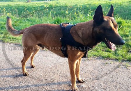 Sattelgeschirr für Malinois➩ ➪ ➫ ➬ ➭