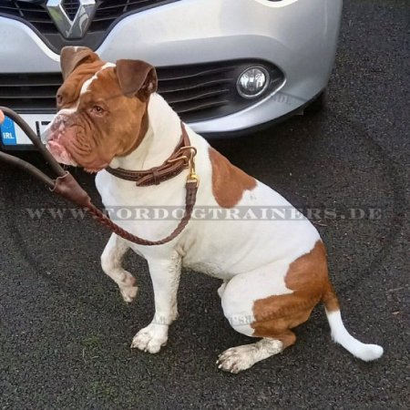 Bestseller Leine aus Leder Geflochten, perfekte Handarbeit für Hunde!