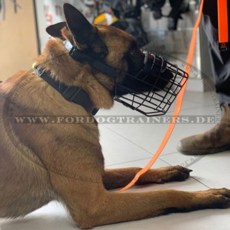 Wire dog muzzle perfect for Malinois, covered by black ruber