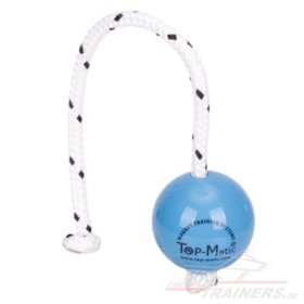 Fun Mini Ball von Top-Matic Trainingssystemen, blau